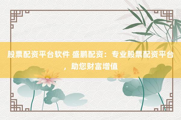 股票配资平台软件 盛鹏配资：专业股票配资平台，助您财富增值