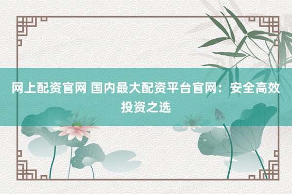 网上配资官网 国内最大配资平台官网：安全高效投资之选