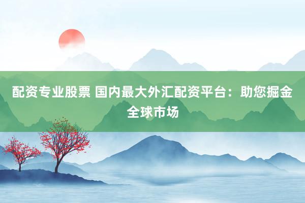 配资专业股票 国内最大外汇配资平台：助您掘金全球市场