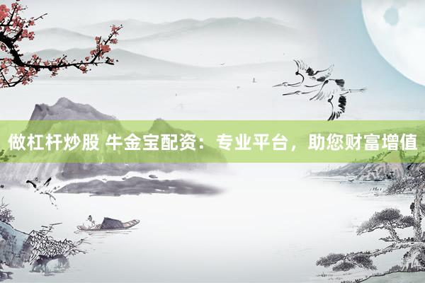 做杠杆炒股 牛金宝配资：专业平台，助您财富增值