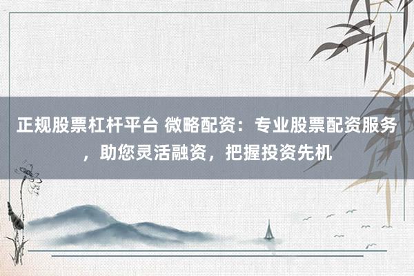 正规股票杠杆平台 微略配资：专业股票配资服务，助您灵活融资，把握投资先机