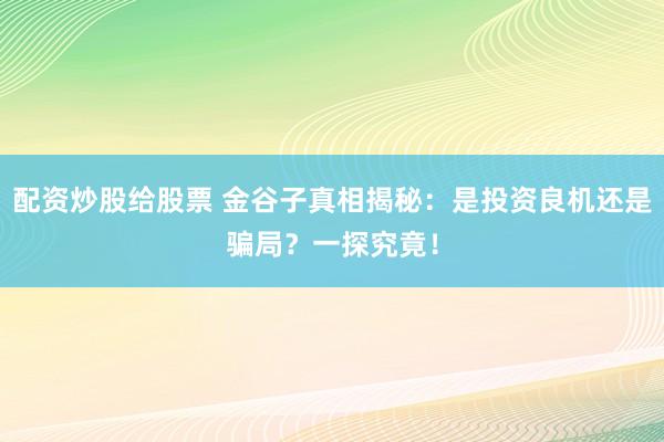 配资炒股给股票 金谷子真相揭秘：是投资良机还是骗局？一探究竟！