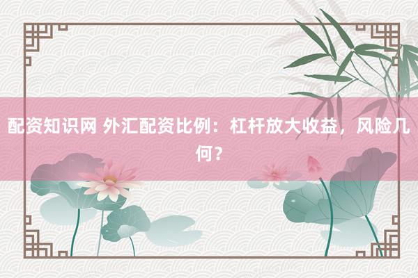 配资知识网 外汇配资比例：杠杆放大收益，风险几何？