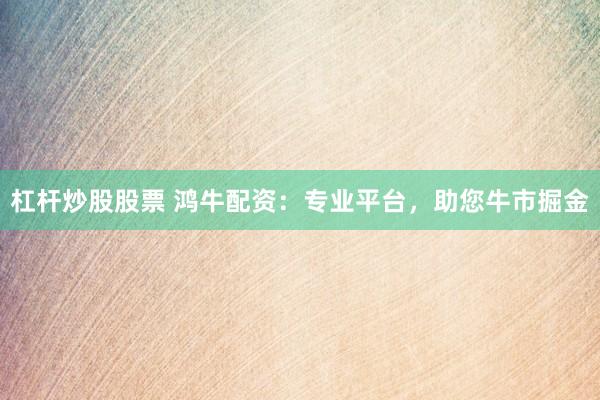 杠杆炒股股票 鸿牛配资：专业平台，助您牛市掘金