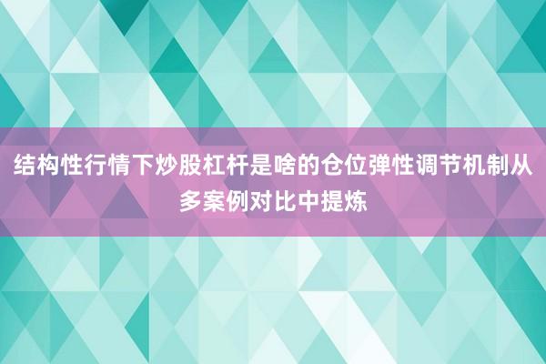 结构性行情下炒股杠杆是啥的仓位弹性调节机制从多案例对比中提炼