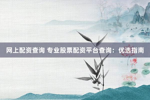 网上配资查询 专业股票配资平台查询：优选指南