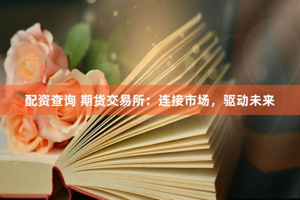 配资查询 期货交易所：连接市场，驱动未来