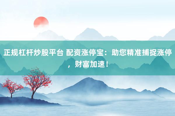 正规杠杆炒股平台 配资涨停宝:助您精准捕捉涨停,财富加速!